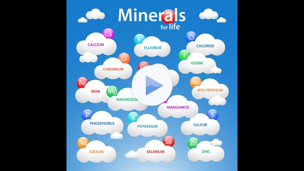 Full Spectrum Minerals Are The Most Important Nutrients Needed By The Body For Good Health