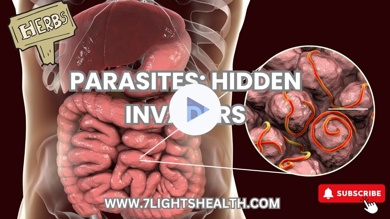 Hidden Invaders: The Startling Truth About Parasites and the Fight for Wellness