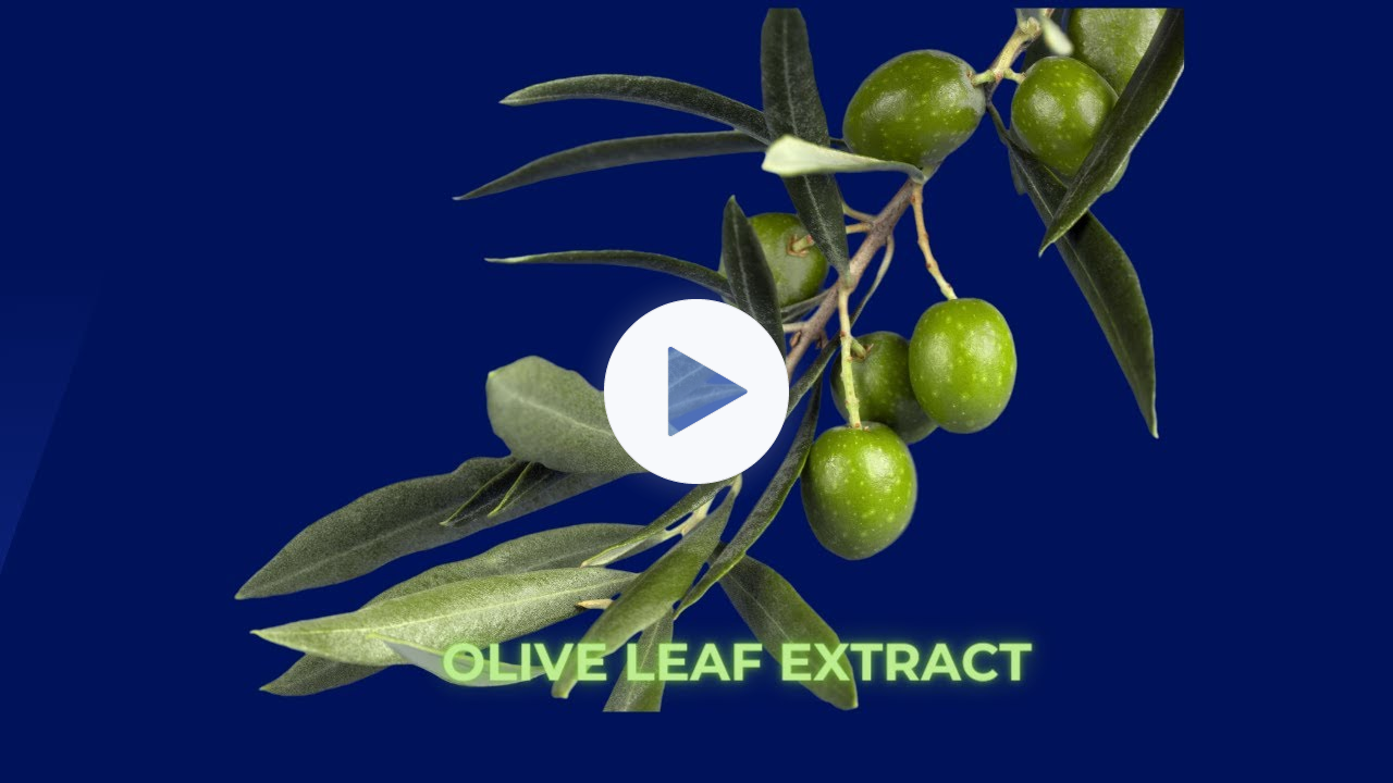 Unlocking the Power of Olive Leaf: A Natural Elixir for Health and Wellness