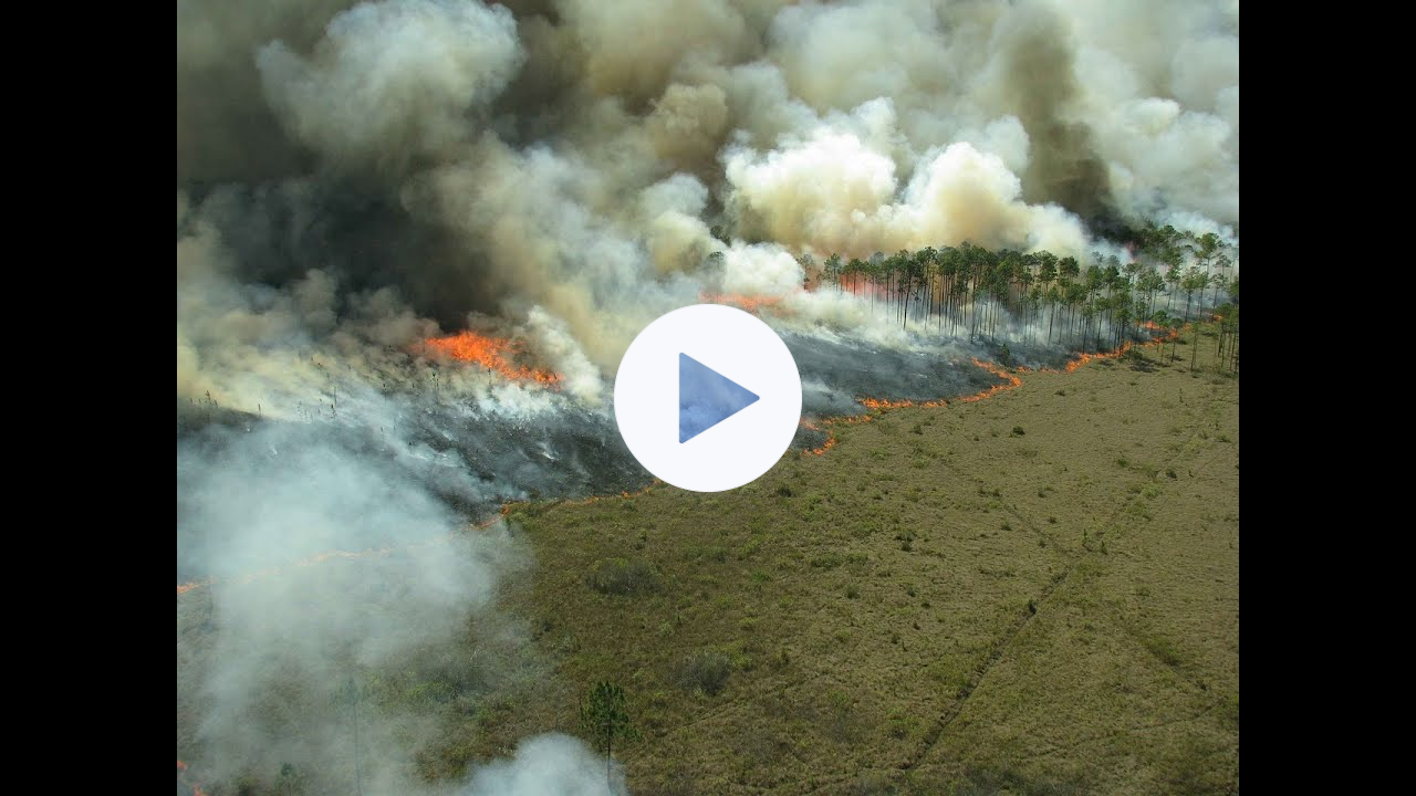 MSM Mineral Supplement Can Help Anyone Exposed To Wild Fire Smoke Toxicity