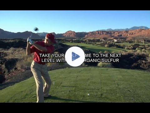 Par for the Course: A Golfer's Guide to MSM Mineral For Success