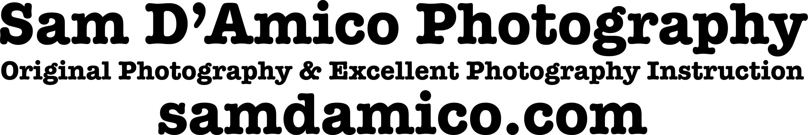 Sam D'Amico-Photography