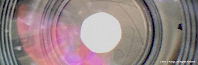 Sam D'Amico Photography closing image