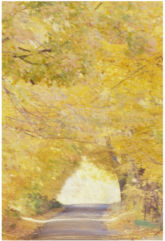 a-country-road-in-autumn