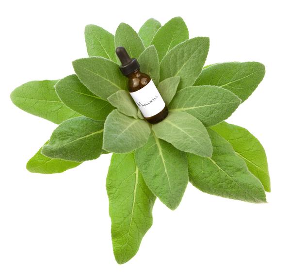 mullein leaves and mullein extract bottle