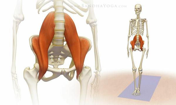 Hip Flexor Group