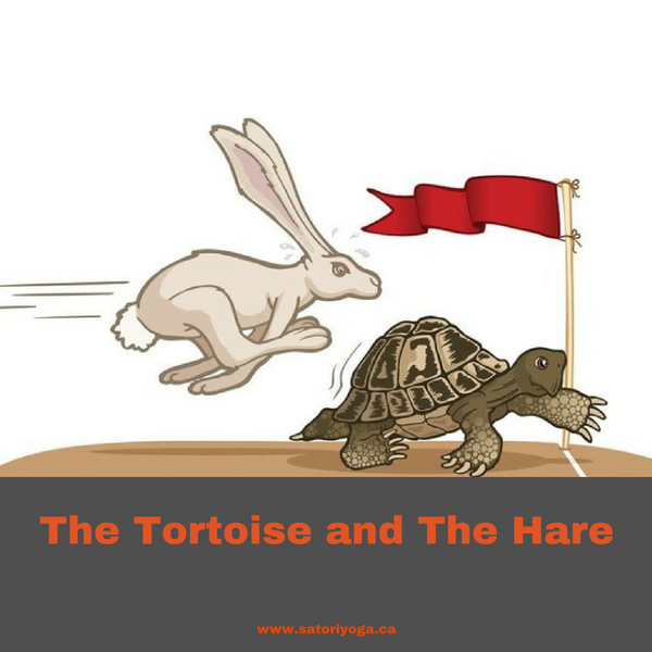 the tortoise and the hare
