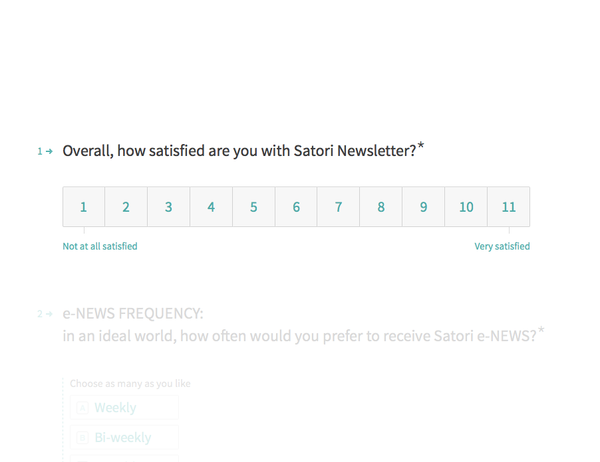 SATORI e-NEWS customer satisfaction survey