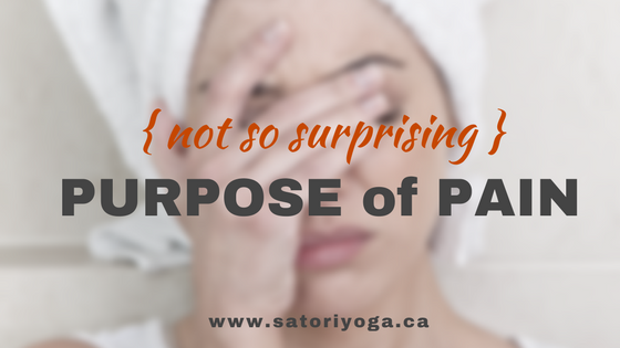 purpose of pain