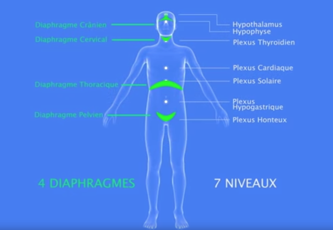 The Four Diaphragms