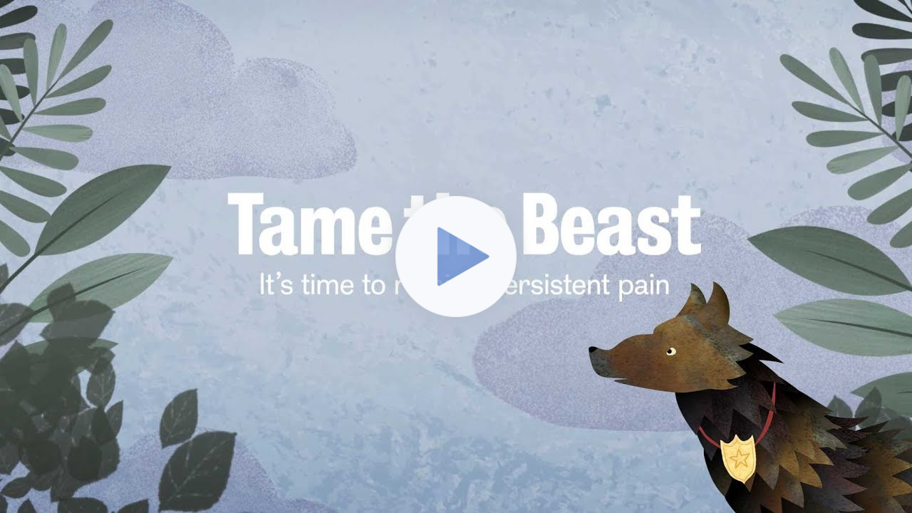 Tame The Beast - It's time to rethink persistent pain