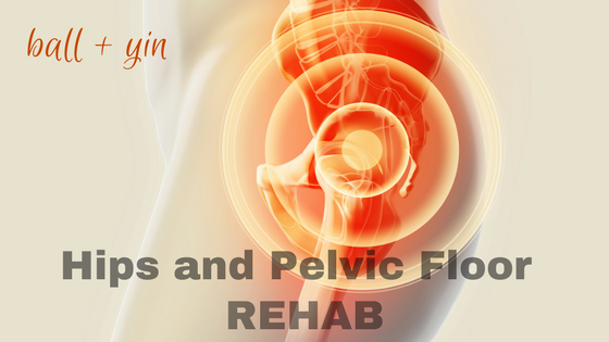 hips and pelvic floor rehab