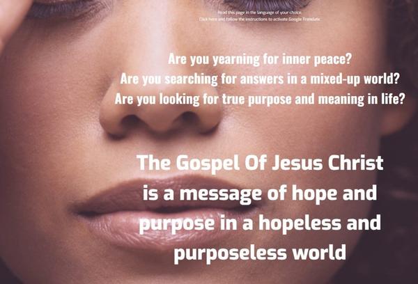 Finding Purpose In The Mess