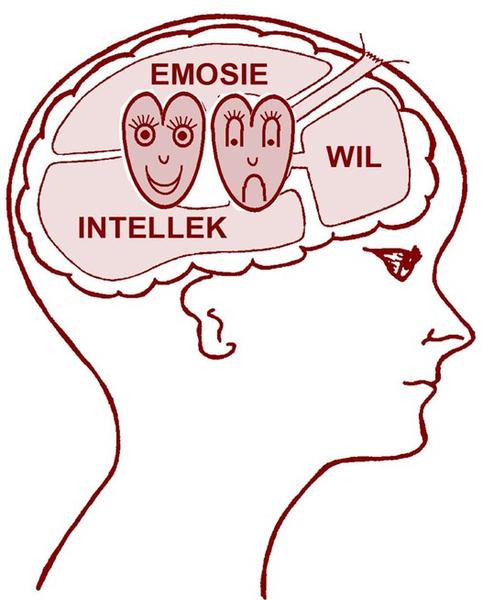 Die Christen met wedergeboorte