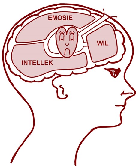 Aardse, fisiese lewe