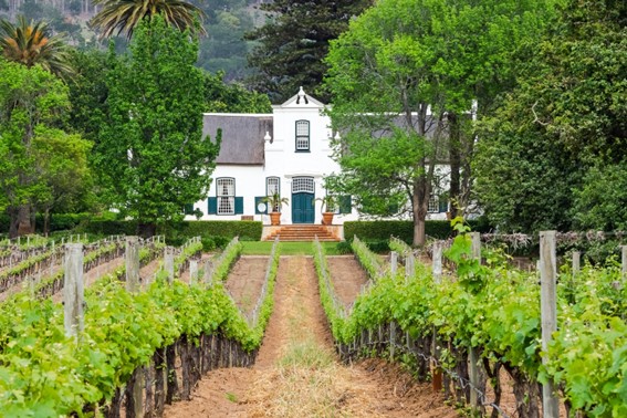 Stellenbosch