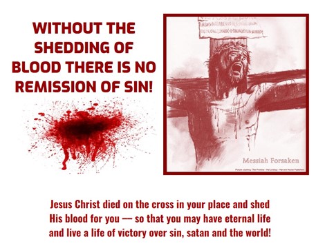 No Remission Of Sin Without Shedding Of Blood