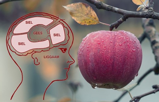 Gees, Siel en Liggaam