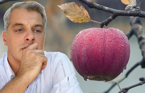 Die Geheim van ‘n Oorvloedige, Doelgerigte Lewe