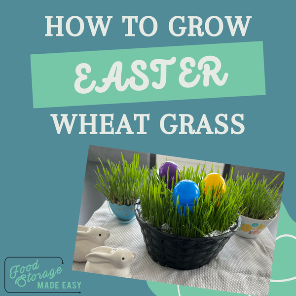 How to Grow Easter Wheat Grass