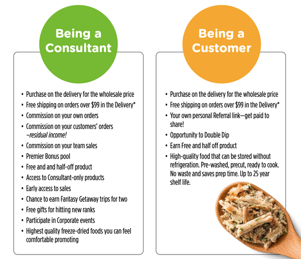 Consultant vs Customer