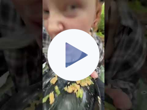 Thrive Meal Review #shorts