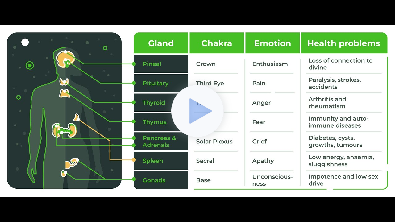 Seven Levels of Emotion - How Releasing Trauma and Past Emotions can Heal all Your Problems