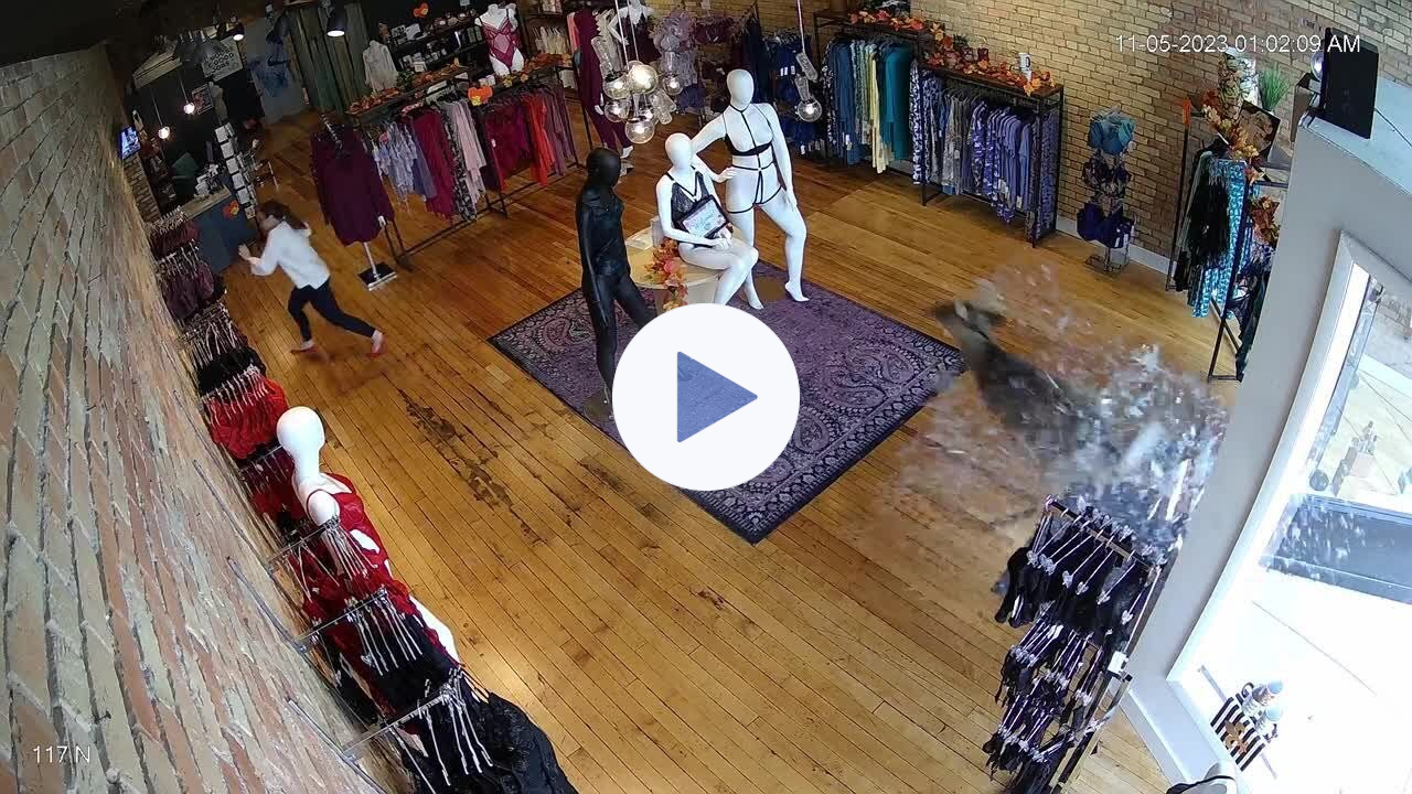 Details on confused deer breaks into Lansing lingerie shop