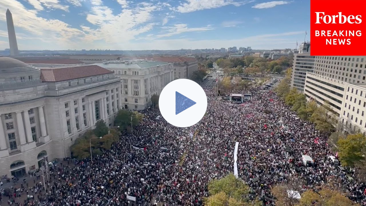 Thousands Of Pro-Palestinian Demonstrators Protest In Washington, D.C. In Favor Of Gaza Ceasefire