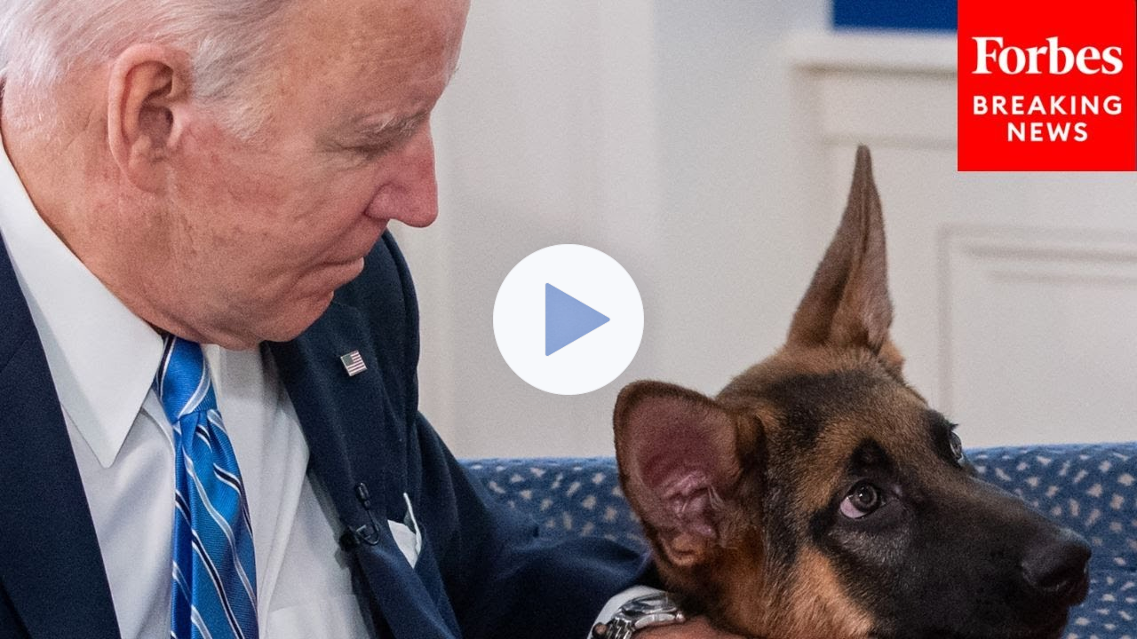 White House Refuses To Disclose Where Commander Biden Is Now After Several Biting Incidents