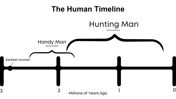 The human timeline