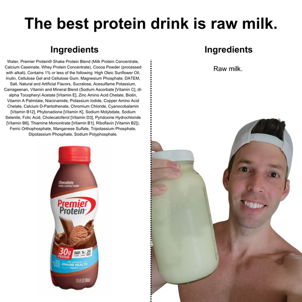 the best protein shake