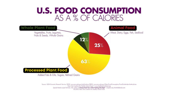 Modern Diet