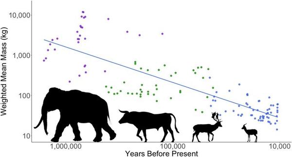 Human Diet Over Time