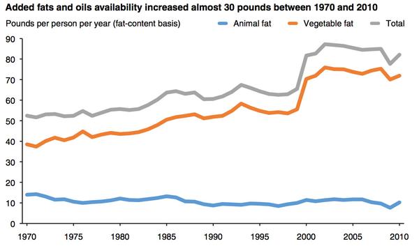 Fat Consumption