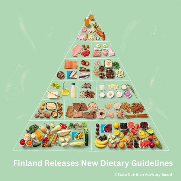 Finland's Food Pyramid