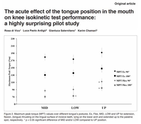 Oral Posture and Strength