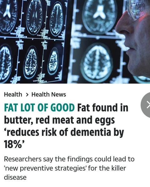 Fat and Brain Health