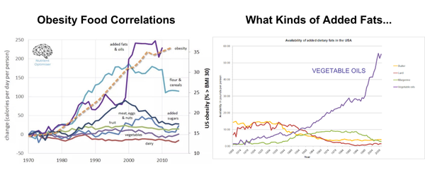 Obesity and Seed Oils