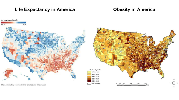 Life Expectancy vs Obesity