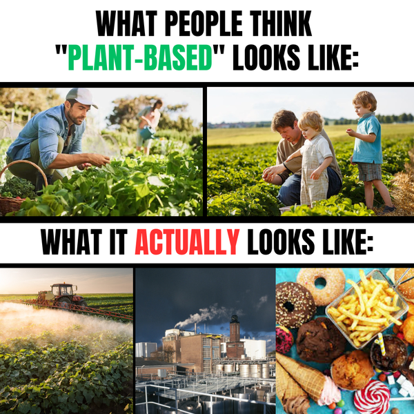 plant based