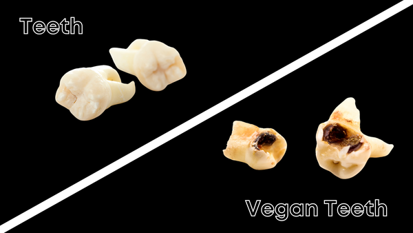 vegan teeth