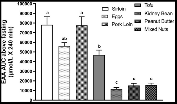 Animal vs Plant Protein