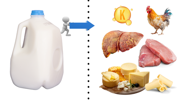 milk and vitamin k2