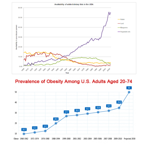 Rise of Plant Fats and Obesity