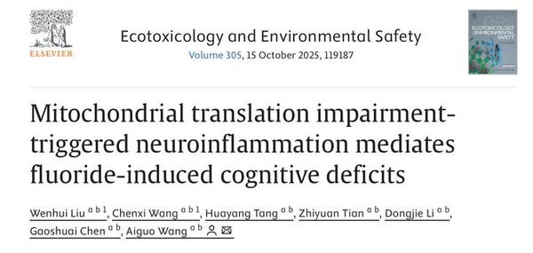 mitochondrial dysfunction