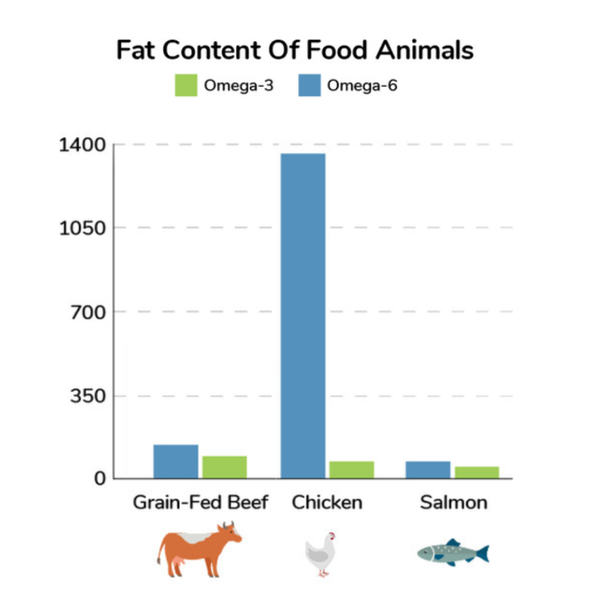 chicken fat