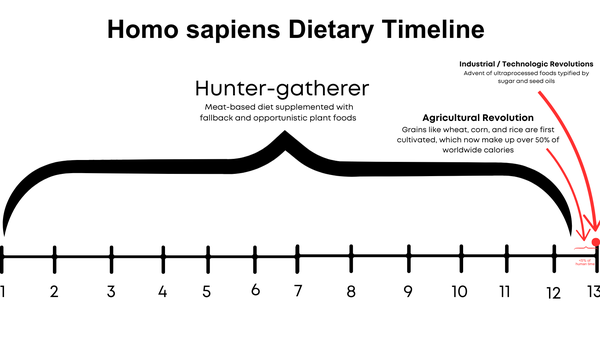 Human Diet Timeline