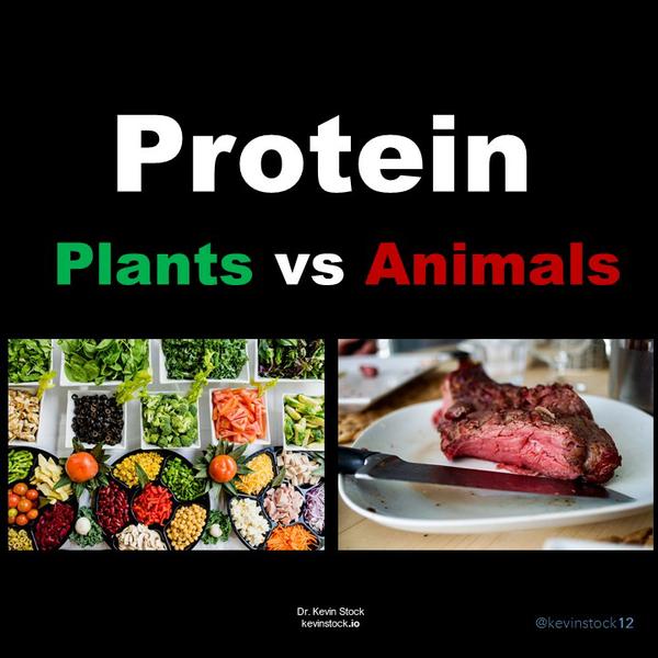 Protein - Plants vs Animals