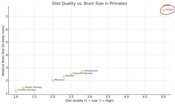 Brain Size versus Diet Quality